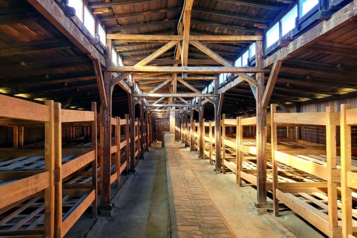 Krakow: Auschwitz-Birkenau & Wieliczka Salt Mine in One Day image