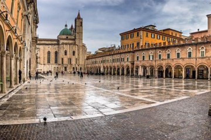 Wine day tour from Ancona image