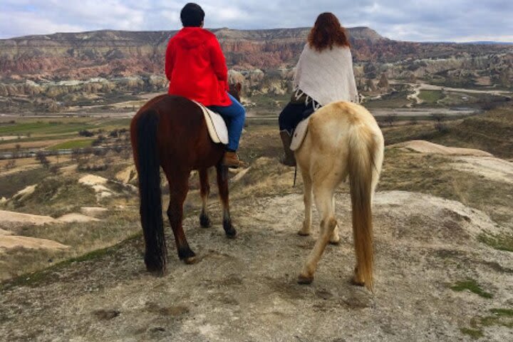 Horse Back Riding Tour image