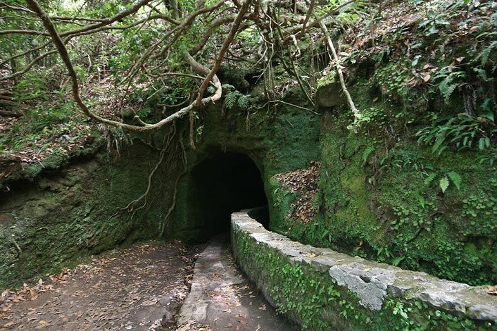 Queimadas - Caldeirão Verde (Full Day Walk) image