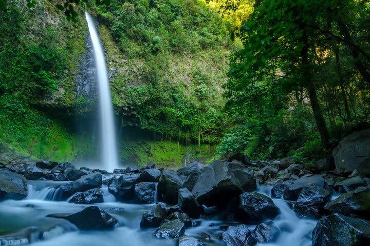 La Fortuna Waterfall & Arenal Volcano Hike image