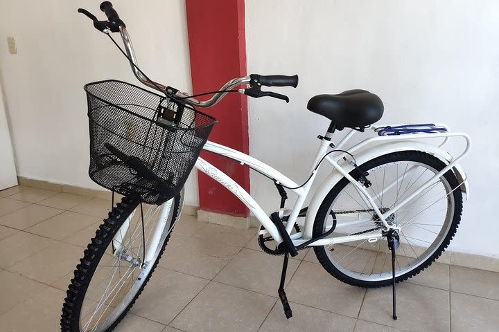 4 to 7 Day Beach Cruiser Rental (Up to 7 Days, includes Ulock) image