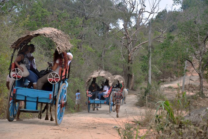 Sigiriya Village Tour from Negombo image