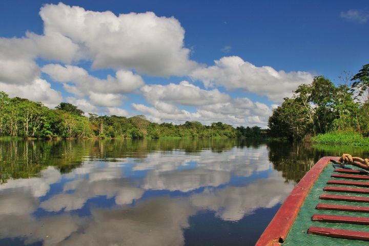 4-Day Amazon Jungle Adventure image