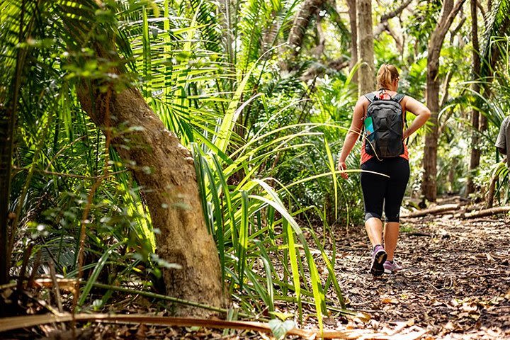 Experience Zanzibar by Walking through Jozani forest (Red Colobus Monkey's Home) image