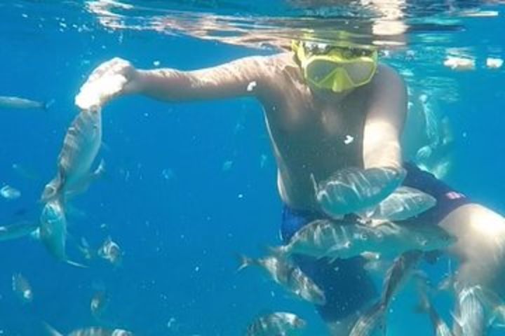 Taormina snorkeling experience image