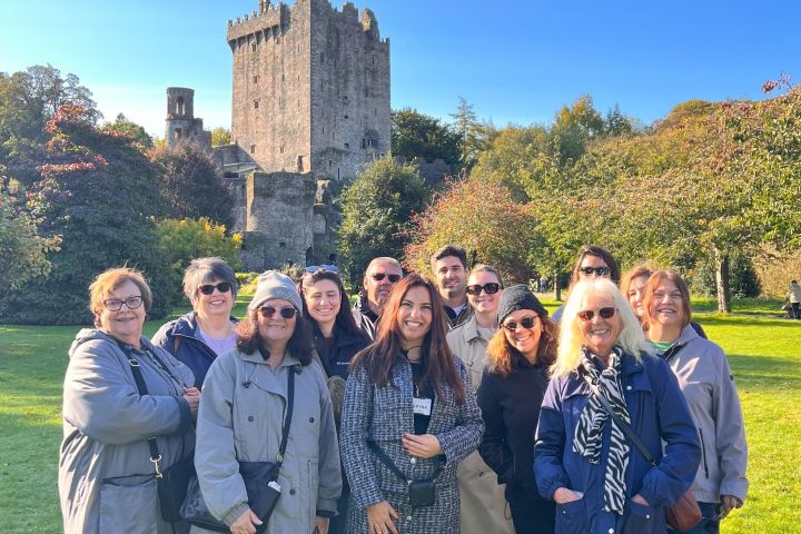 Blarney Castle Gardens Tour image