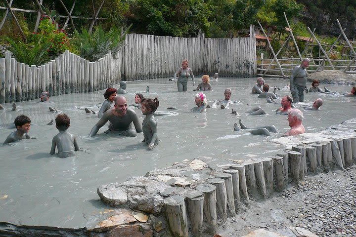 Dalyan River Cruise, Turtle Beach & Mud Baths from Marmaris image