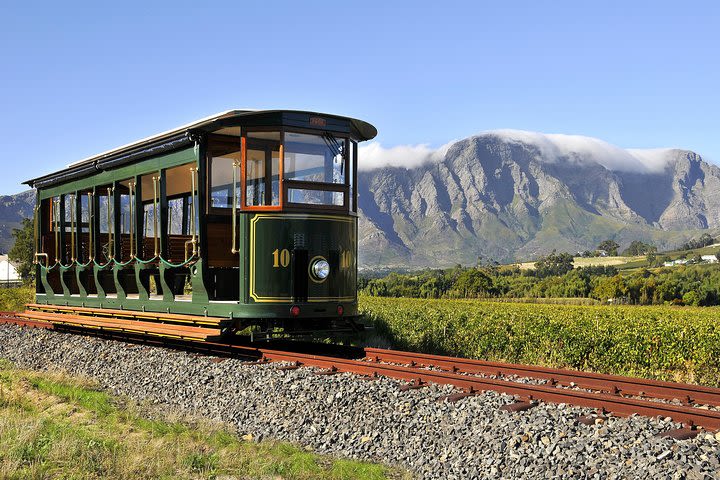 Full-Day Stellenbosch, Franschhoek and Paarl Wine Tasting Tour from Cape Town image