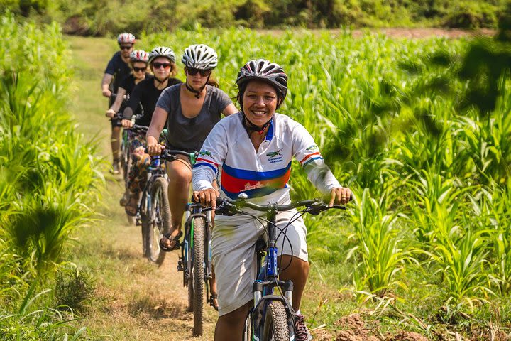 Guided Bike Tour with Lunch in Islands of the Mekong from Phnom Penh image