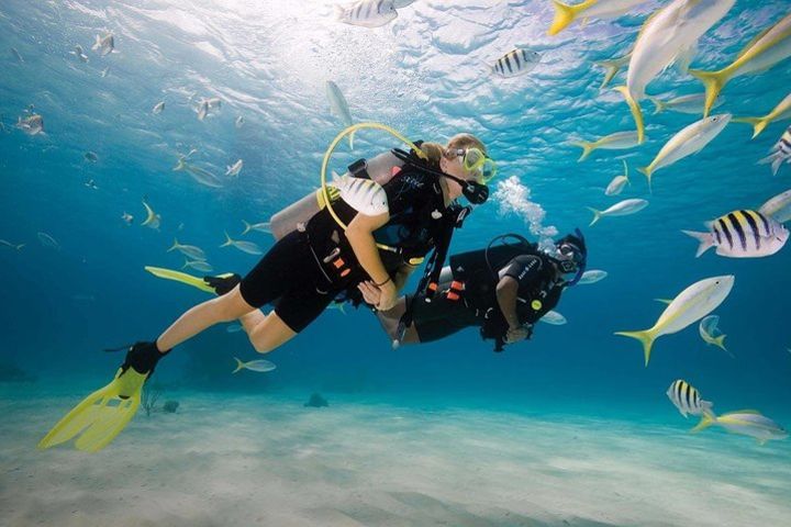 Discover Scuba Diving Experience image