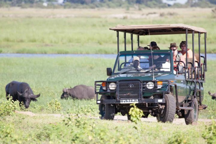 Victoria Falls: Chobe National Park Day Trip with Lunch image