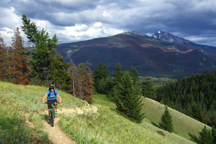 3hr Private Mountain Bike Tour in Jasper National Park image