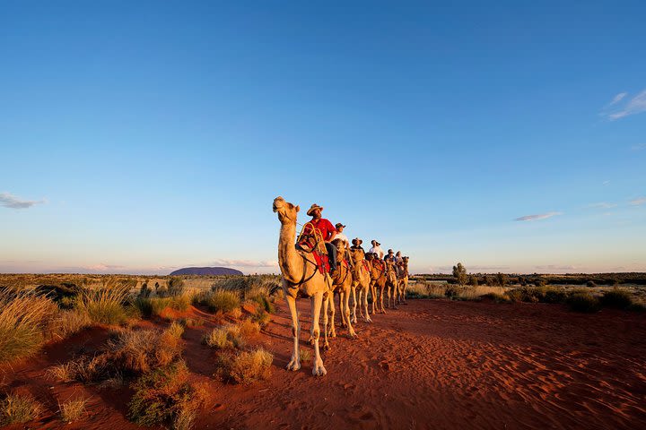 Uluru Small-Group Tour by Camel at Sunrise or Sunset image