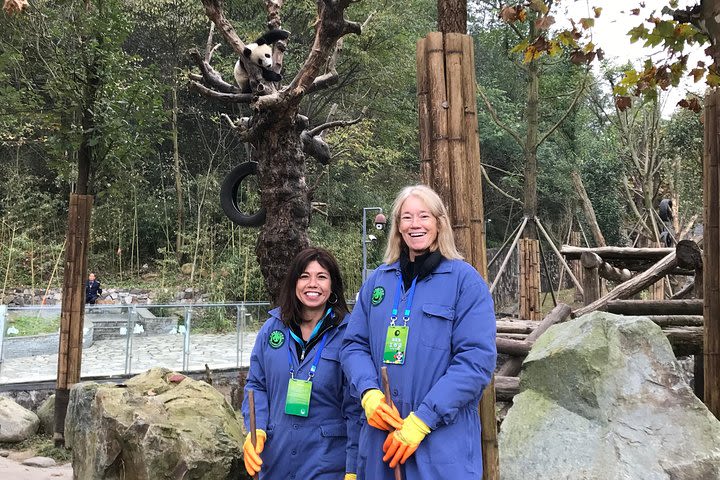 Private Dujiangyan Panda Base Panda Rescue Center Volunteer for a Day  image