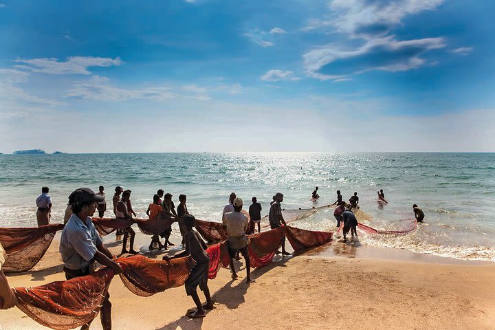 Coastal Ride to Galle from Panadura image