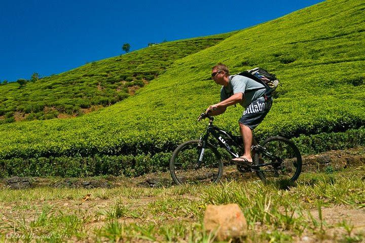 Ella Cycling Tour + Train Ride  image