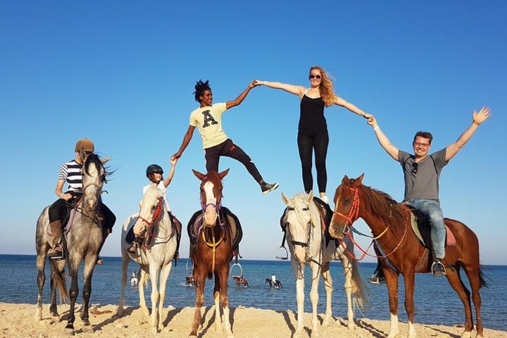 Typical Egyptian Night Sunset, Horse Ride & Horse Dancing & BBQ Dinner -Hurghada image