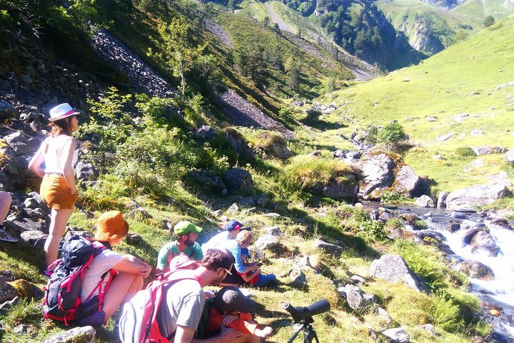 Standing in there, a guided hike to meet the marmots image