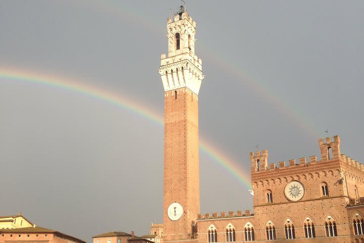 2 hour tour of Magic Siena with Stella image