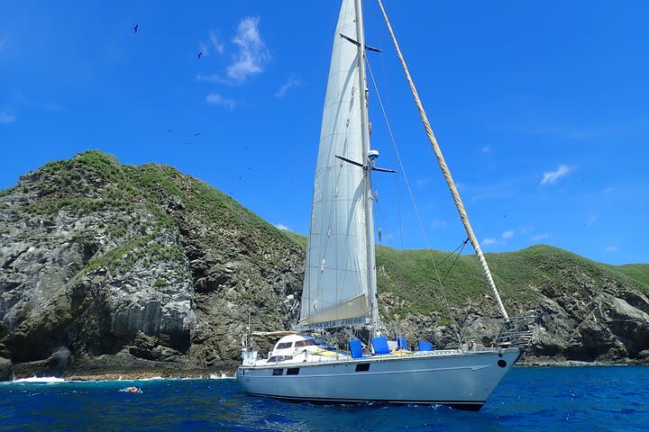 Sunset Snorkel and Sailing Tour - Kuna Vela Sailing Tours (Playas Del Coco) image