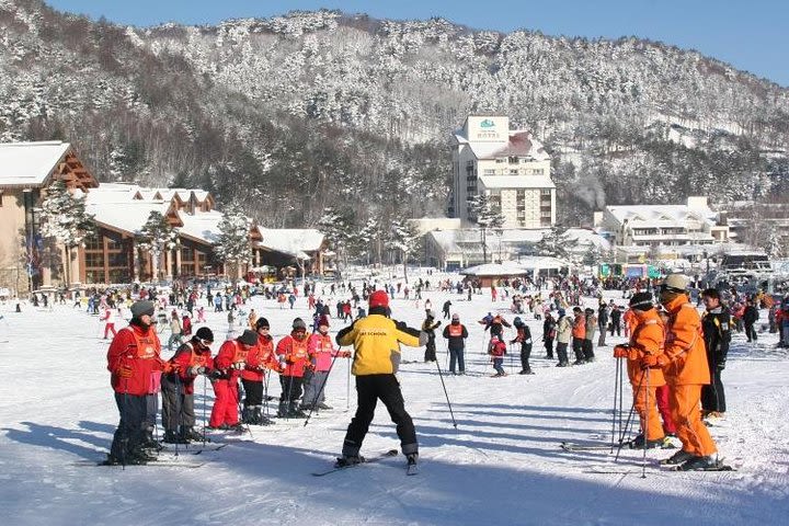 Snow or Ski Day Trip to Yongpyong or Phoenix Park Resort from Seoul image