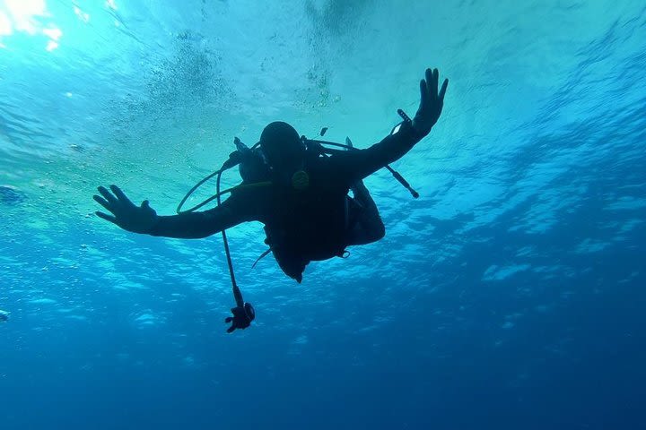 Scuba Diving Excursion in the South of Tenerife image