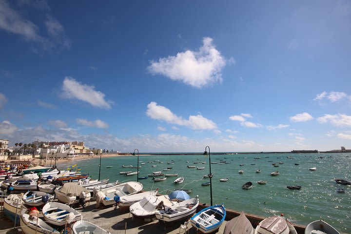 Cadiz Shore Excursion: Scenic & walking tour with cheese and sherry tasting  image