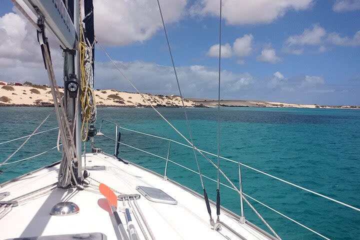 3-Hour Small-Group Sailing Tour around the Lobos Island image