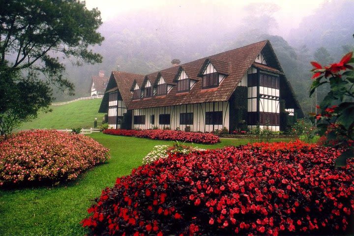 Cameron Highlands Tour with Lunch on Private Basis image