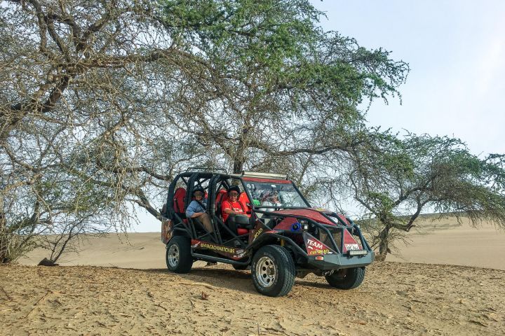 Paracas Buggy & Sandboard Adventure image