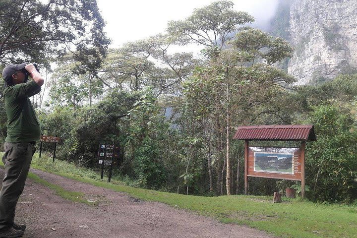 Birding & Nature to Chicaque Cloud Forest Nature Reserve image