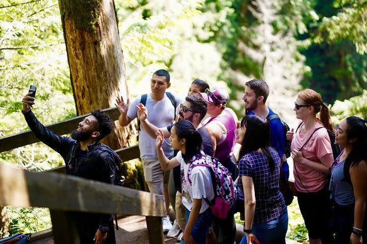 Hike the Gorgeous Trails in Washington image