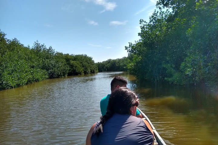 Live like a fisherman on the Mangroves Rout image