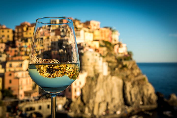 Sensory wine tasting and traditional wine cellar visit in Manarola image