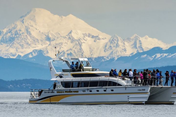 Specialty Bird Watching Tour image