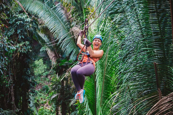 Zipline Adventure at Bocawina Rainforest image