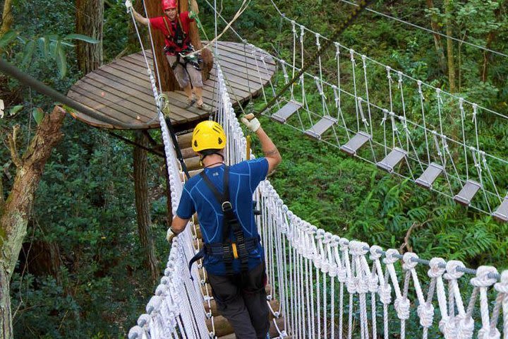 Big Island Kohala Zip and Dip Tour from Kona image