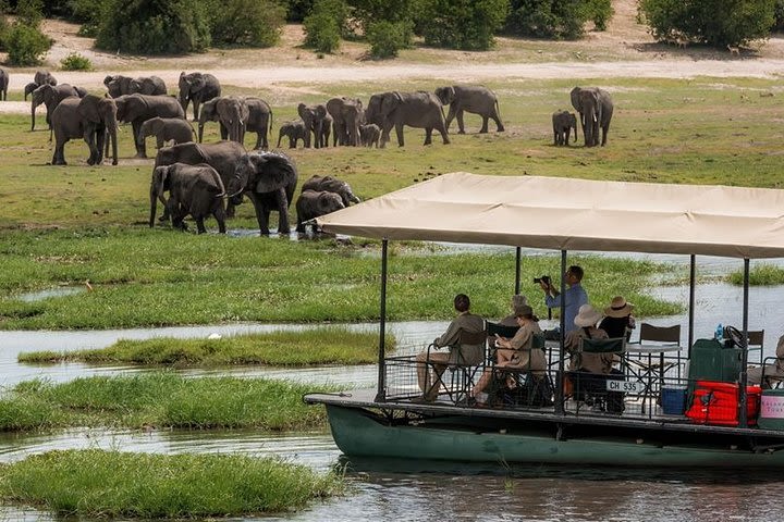 Chobe Day Trip From Livingstone/Victoria Falls image