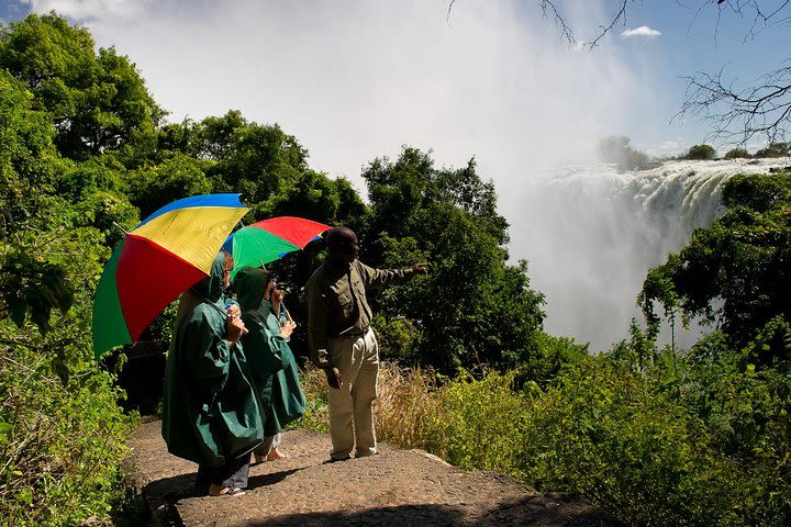 2-Hour Tour of the Victoria Falls image