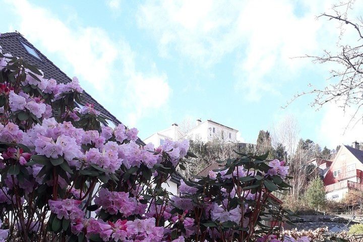 Walking tour: Medieval Spirit of Bergen image