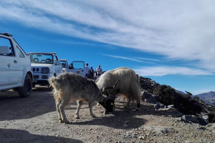 4x4 self drive adventure image