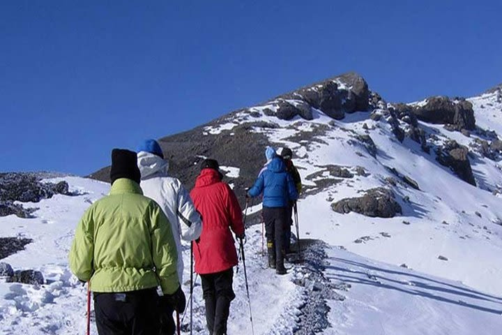 8 Day Kilimanjaro Trekking Tour + 2 nights hotel stay via Lemosho Route image