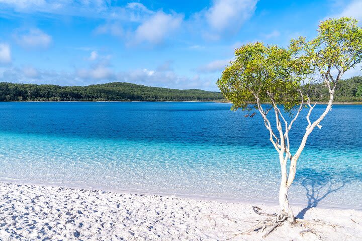 Lake McKenzie Full-Day Tour with Lunch from Hervey Bay image