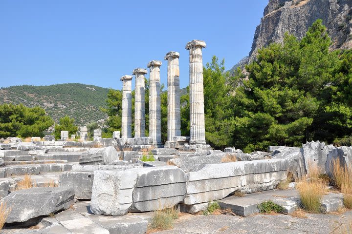 Priene Miletos Didyma Tour From Kusadasi / Selcuk Hotels image