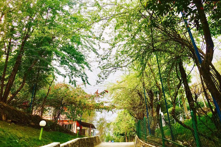 Beautiful Meditation Garden (Osho Upaban Garden Village) Tour from Pokhara Nepal image