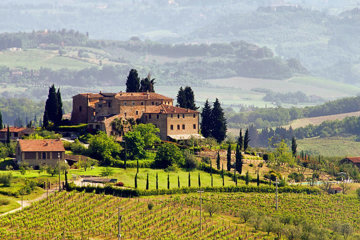 Tuscany Day Trip from Rome including Lunch and Wine Tasting  image