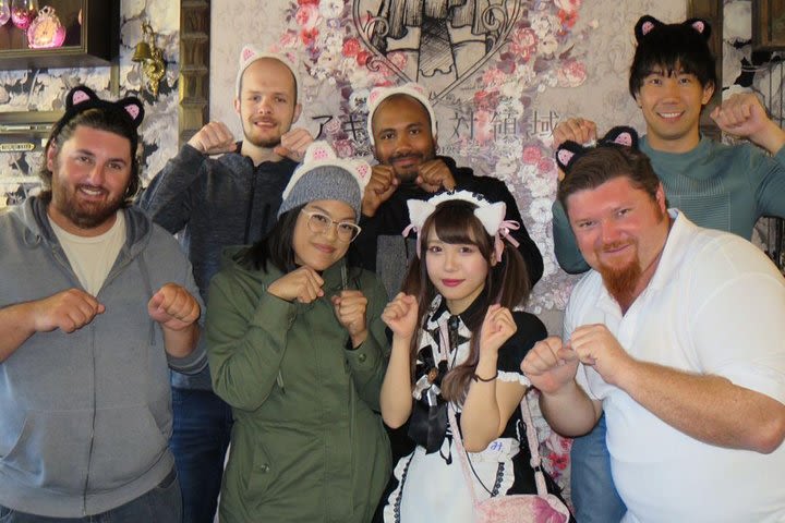 Akihabara Anime & Gaming Adventure Walking Tour image