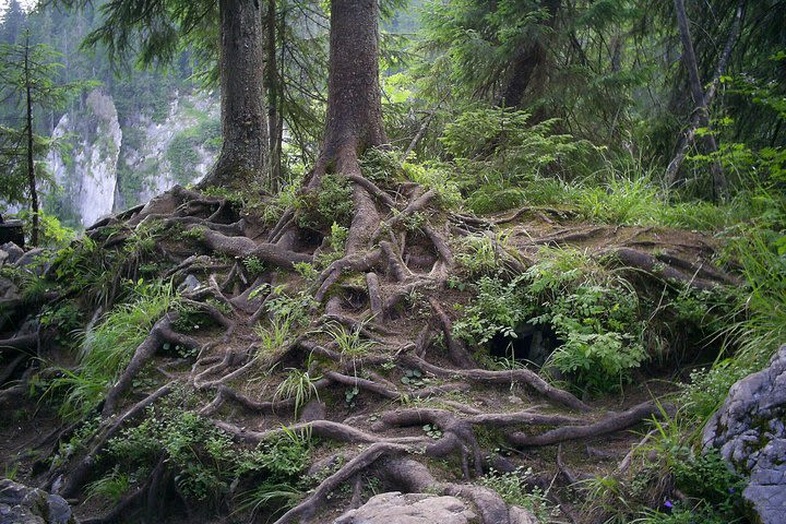 Caving & hiking in Apuseni Mountains (5 days, from Cluj) image