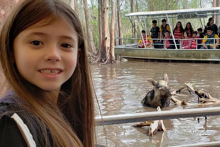 Honey Island Swamp Tour with Pickup from New Orleans image